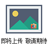 型號:ZRX-27610業(yè)次性溫度記錄儀